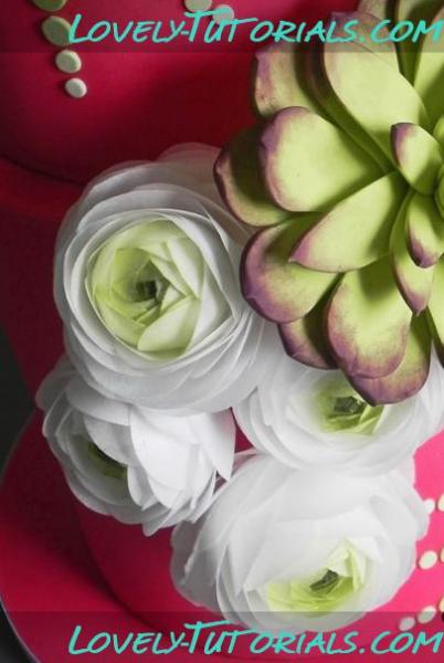 Ranunculus Cake Close Angle