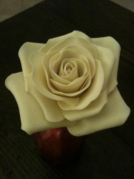 foto
The english rose