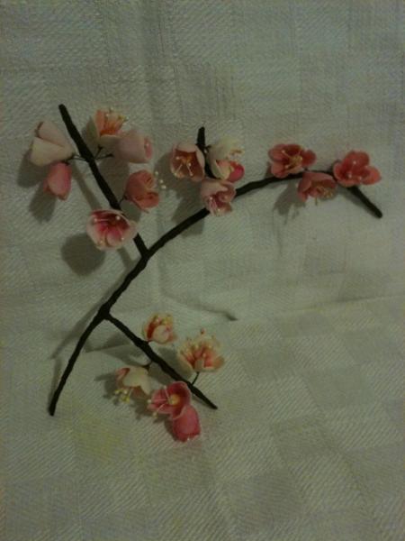 foto (36)
Cherry Blossom